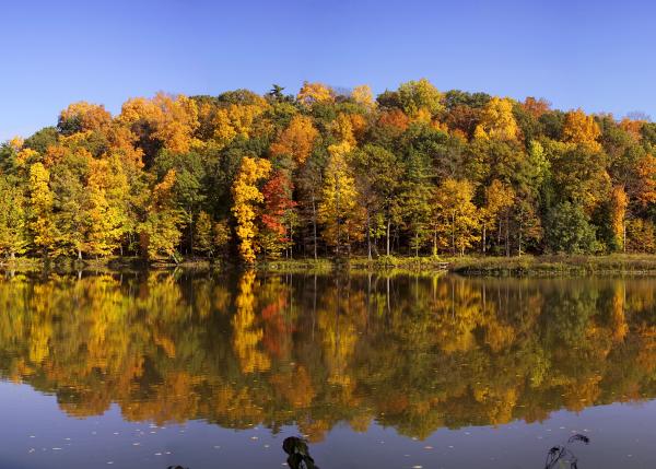 A Moment to Daydream: Lakes & Waterways of the Finger Lakes Beebe Lake