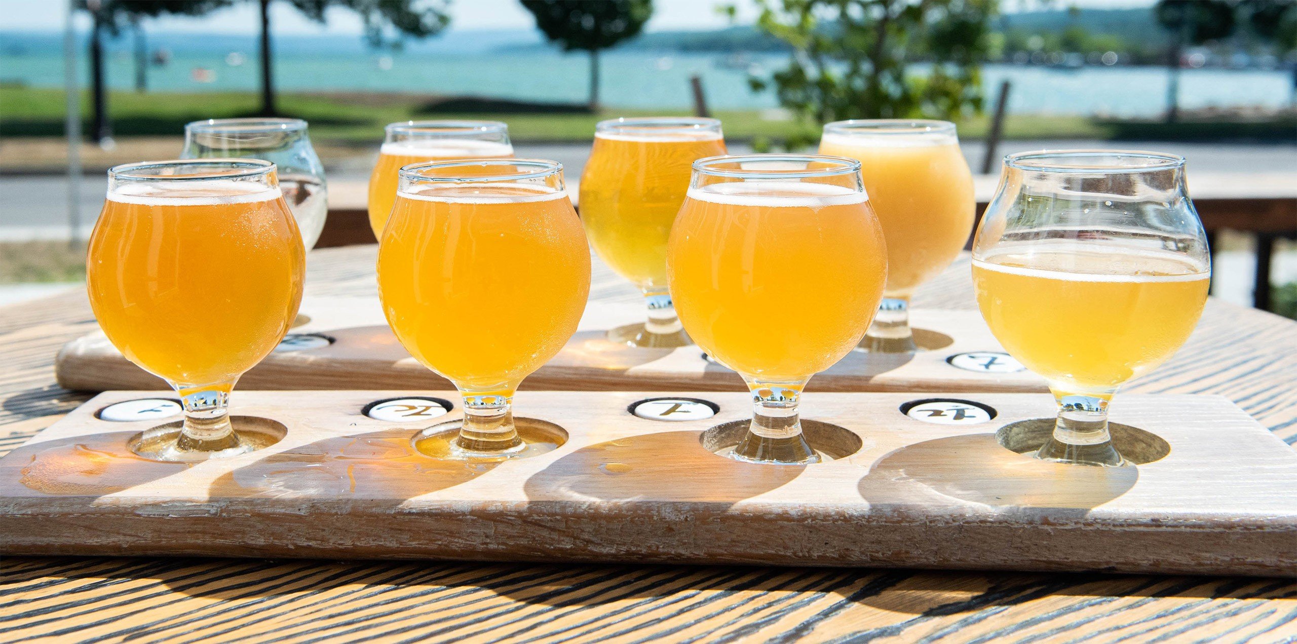 Regional Programs a group of glasses of beer on a wood board
