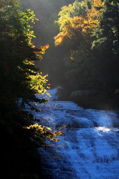 A Moment to Daydream: State Parks of the Finger Lakes Buttermilk Falls State Park