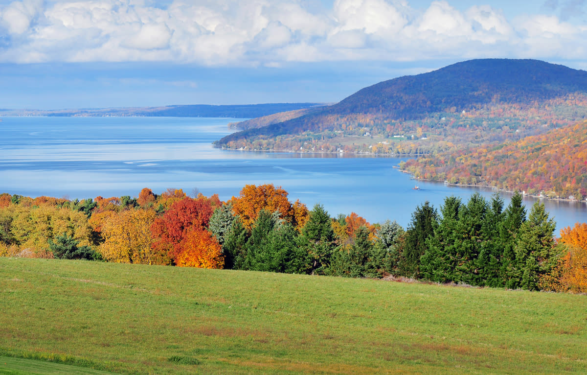 Ontario County Ontario County