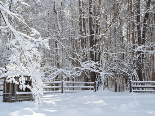 Beautiful Ways To Blaze Your Own Trail Cumming Nature Center in winter