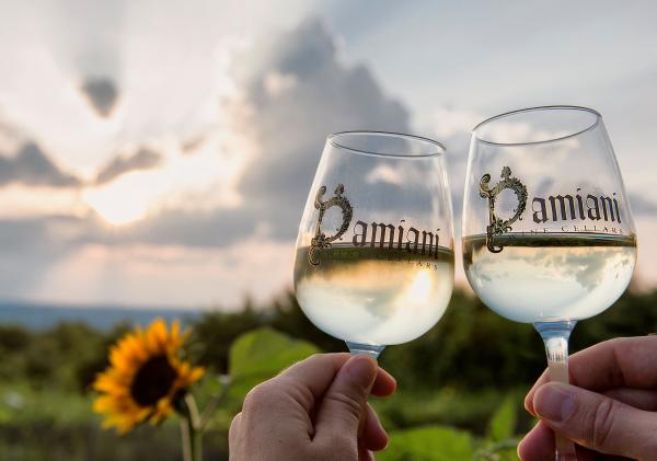 Wine Tastings Go Virtual Damiani