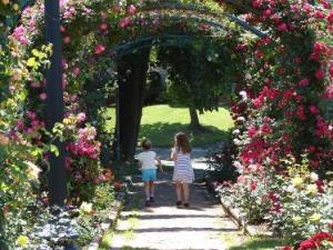 7 Places to Stop & Smell the Flowers in the FLX Mills Rose Garden