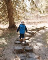 a child walking on a path with tree stumps