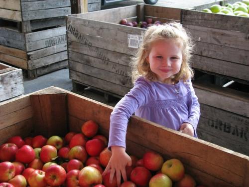 20 Reasons to be Thankful in the Finger Lakes Girl with Apples - Wayne County