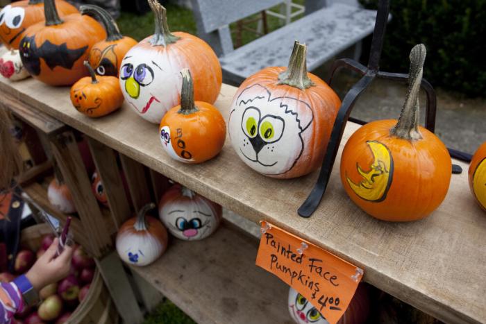 Finger Lakes Fun for Everyone Great Cortland Pumpkinfest