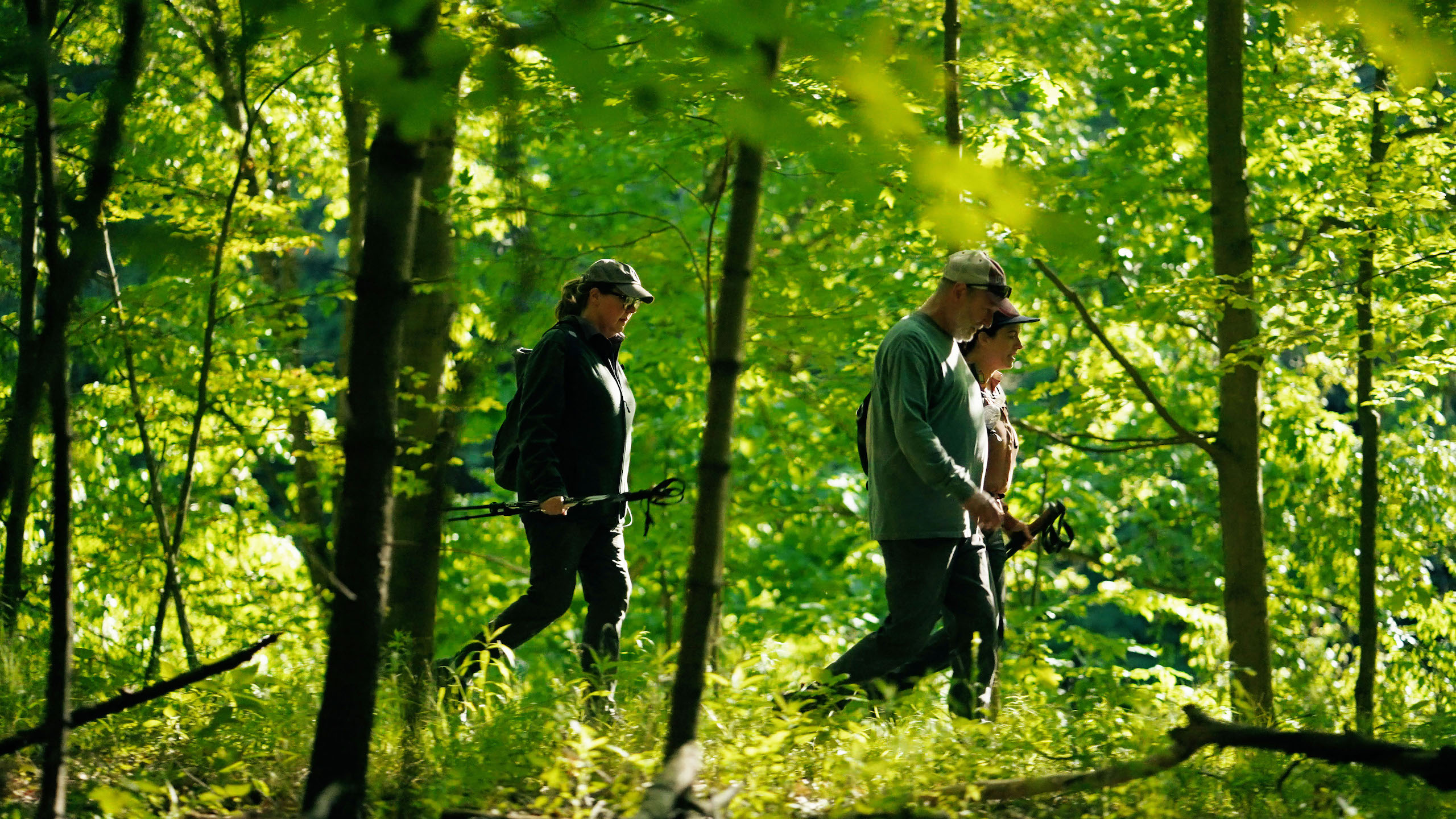 Hiking