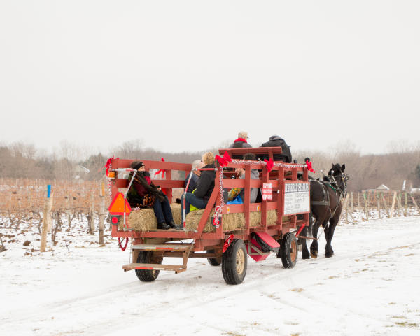 Romance in the Finger Lakes Ice Wine Festival, Casa Larga