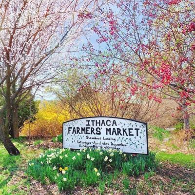 This Little Tourist Went to the Market.... Farmers Markets in the Finger Lakes Ithaca Farmers Market