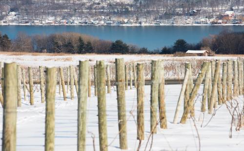 Winter Wine & Dine Winter Wine & Dine