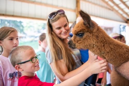 Say “Nama-Stay” to Yoga in The Finger Lakes Lazy Acre Alpacas