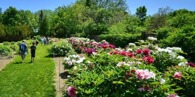 7 Places to Stop & Smell the Flowers in the FLX Linwood Gardens