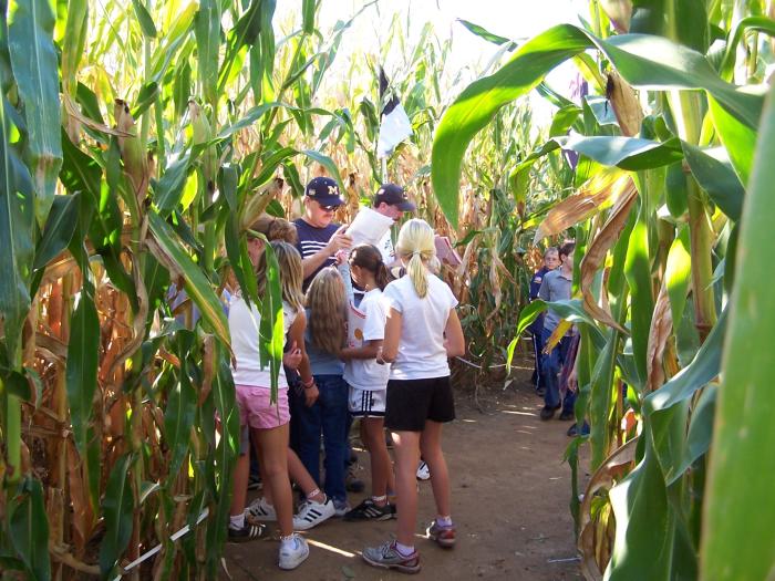 Fall Foliage & Autumn Activities Long Acres Farm