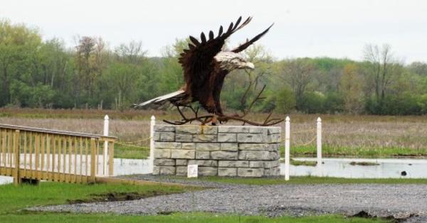 A Moment to Daydream: State Parks of the Finger Lakes Montezuma National Wildlife Refuge