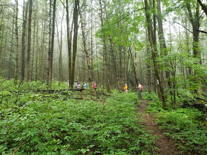 Find Your Outdoor Adventure Here in The Finger Lakes! Finger Lakes Trail