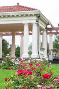 7 Places to Stop & Smell the Flowers in the FLX Sonnenberg Rose Gardens