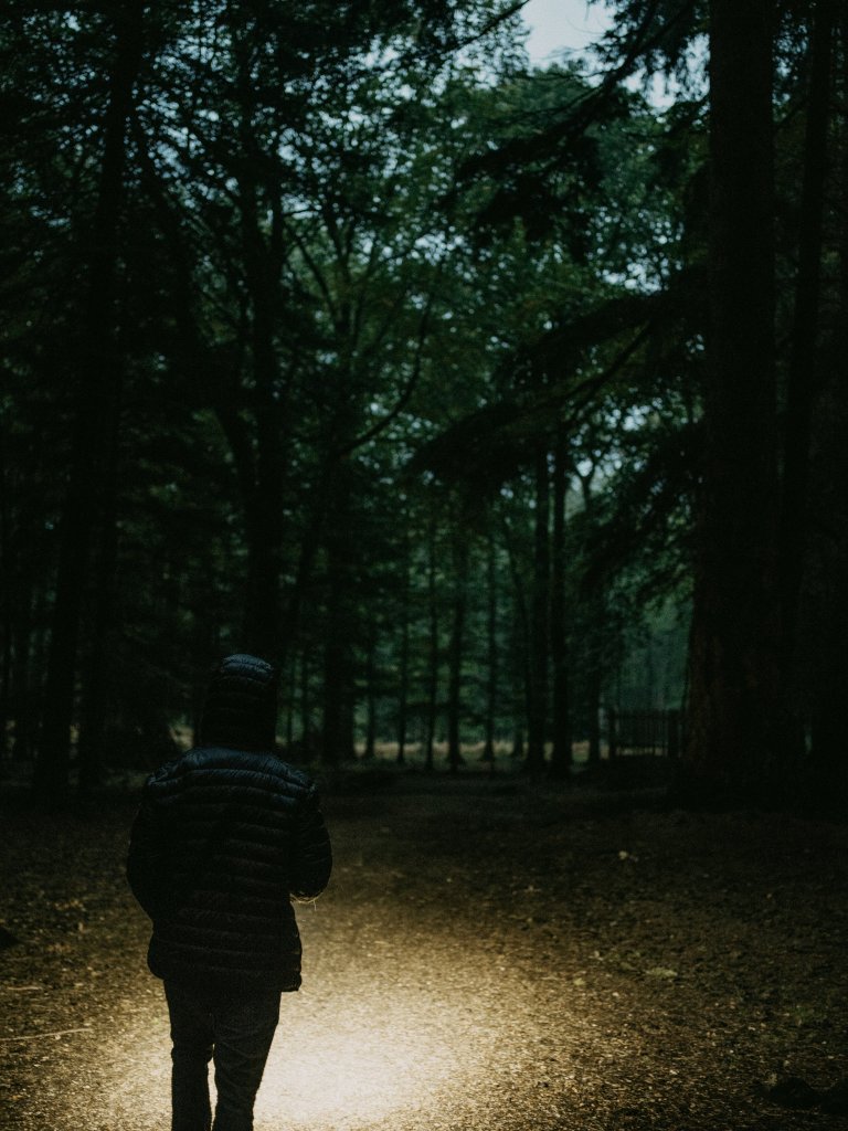 Find Hidden Gems of the Finger Lakes Region - Shine a Light a person walking in the woods