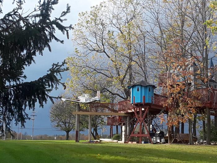 Finger Lakes Fun for Everyone Tree Creations in Geneseo