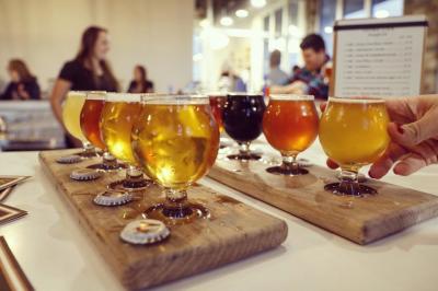 Celebrate National Beer Day in the Finger Lakes Young Lion Brewing