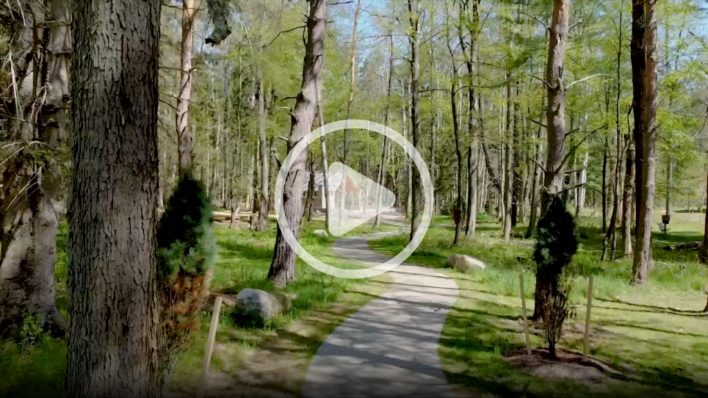 Find Hidden Gems of the Finger Lakes Region - Visit an Accessible Trail or Garden Find Hidden Gems of the Finger Lakes Region - Visit an Accessible Trail or Garden
